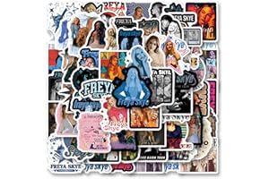 64pcs Singer Romantic Aesthetics Retro Funny Stickers Pop Kawaii Pack | Vsco Funny Cool Deacls Graffiti Stickers Vinyl for Wa