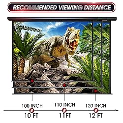 Aoxun 120" Motorized Projector Screen - Indoor and