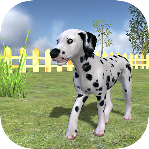 Play with your Dog: Dalmatian
