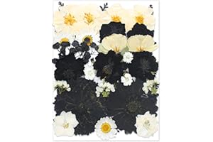 OECOO Large Black Dried Pressed Flower for Crafts,Large Big Real Nature Dry Pressed Flowers for Resin Molds Candle Making Pho