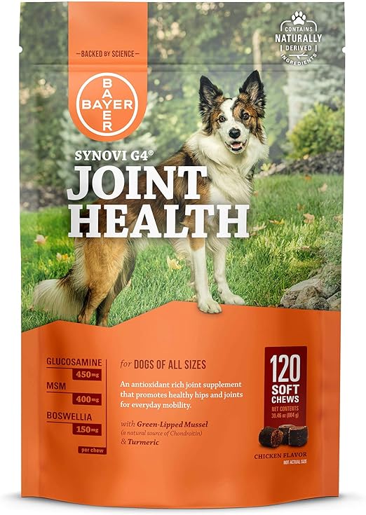 military dog collars and leashes