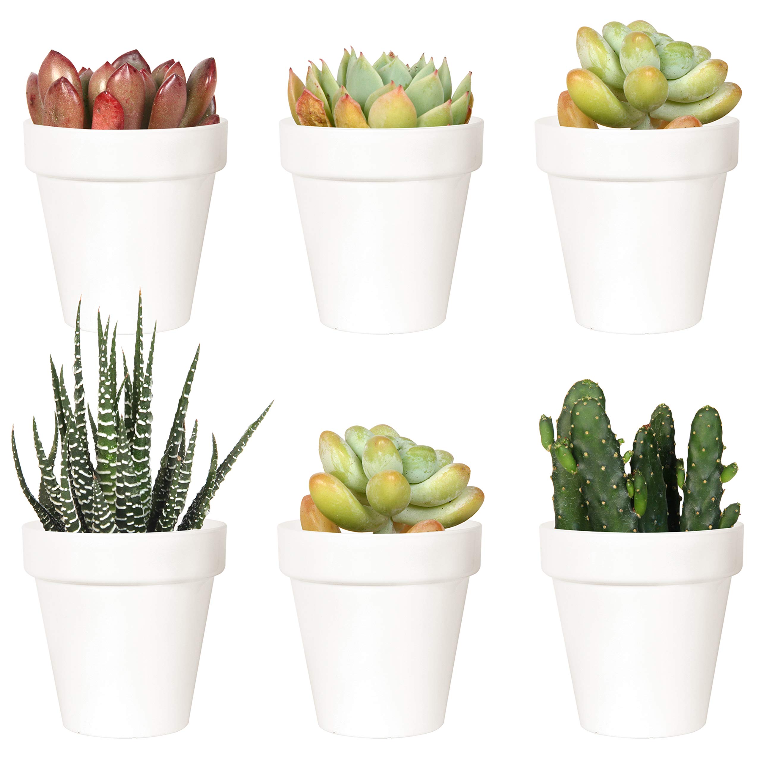 Youngever 10 Pack 8CM Mini Plastic Planters Indoor Flower Plant Pots, White Gardening Pot with Drainage for All House Plants, Flowers, Herbs, Succulents, NO Plant Included (Classic)