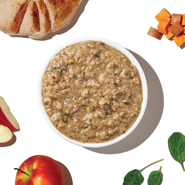 THE HONEST KITCHEN HUMAN GRADE WET DOG FOOD