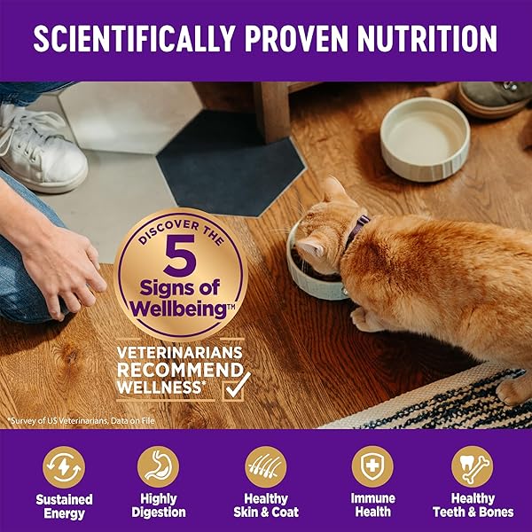 WELLNESS COMPLETE HEALTH SENIOR DRY CAT FOOD, NATURAL, GRAIN FREE KIBBLE, CHICKEN RECIPE, 5.5 LB BAG