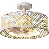 REDSTAR Caged Ceiling Fans with Lights, White