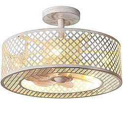 REDSTAR Caged Ceiling Fans with Lights, White