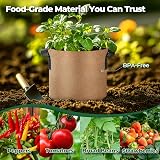 T4U 5-Pack 10 Gallon Fabric Grow Bags with Handles | Heavy Duty Nonwoven view 7
