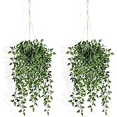 Fake Hanging Plants Indoor - 2 Pack Faux Greenery Plant for Home Decor Artificial Potted Vines with Black Plastic Planter for Bedroom Living Room Garden Front Porch Table Shelf Wall Decoration