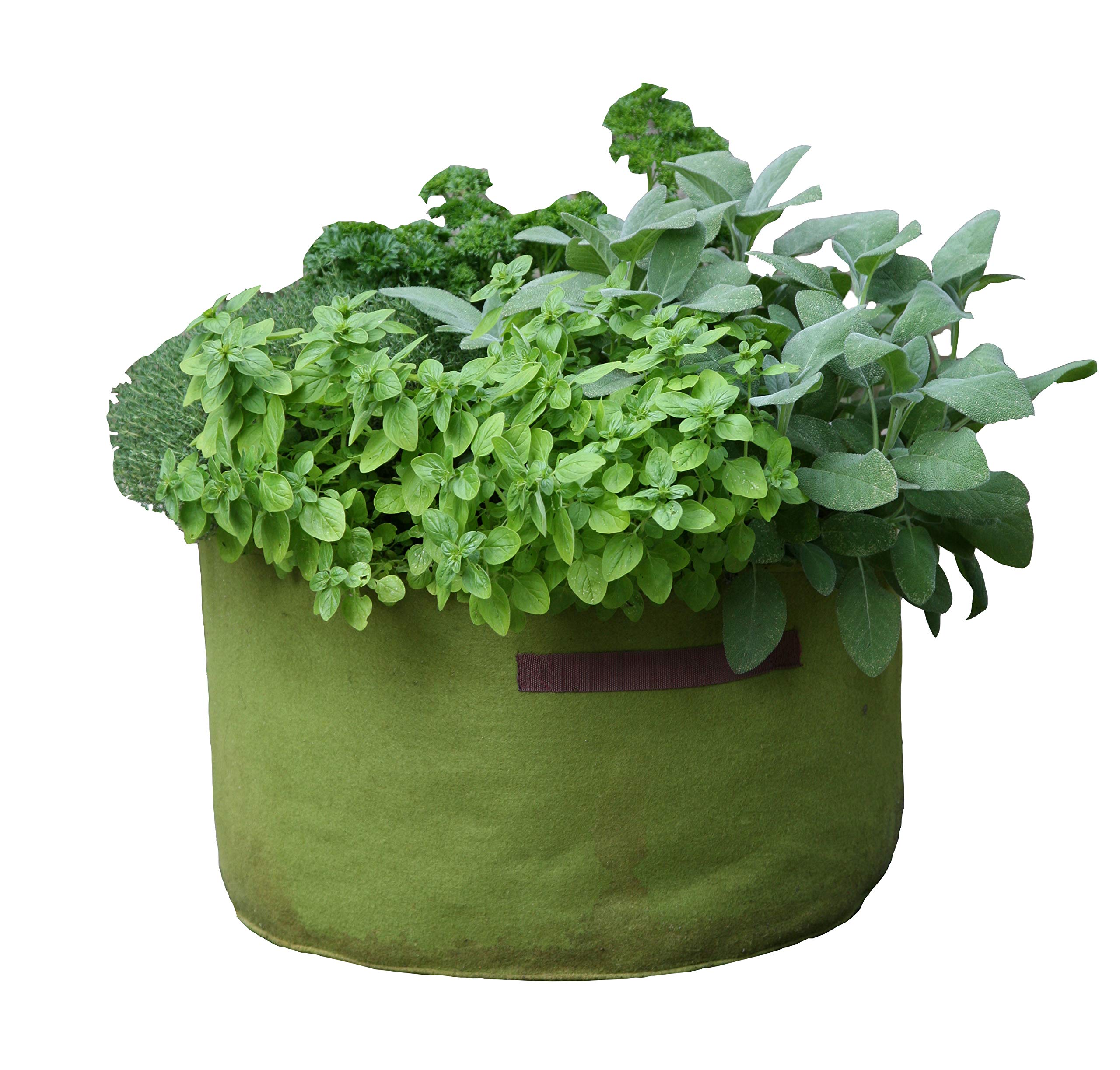 Haxnicks Vigoroot Herb Garden Planter | Special Garden Fabric Needs Less Compost | Better Roots | Stronger Plants | Up To 30% Higher Yield | Green, 45 x 25 cm | Vig140101