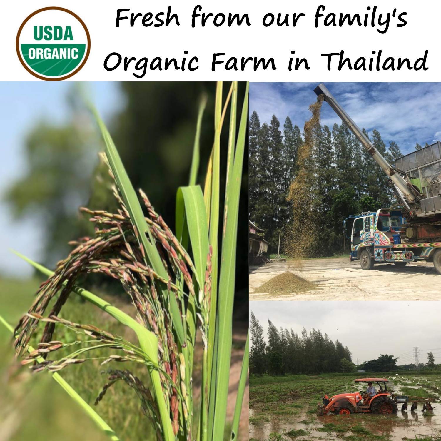 USDA Certified Organic Red Jasmine Rice Microwavable Steamed Cooked