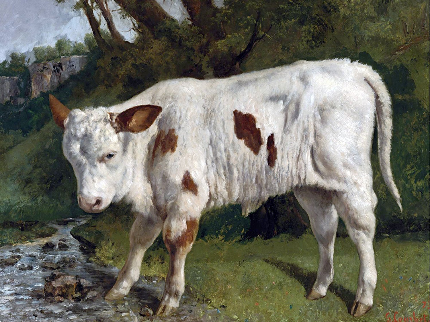 White Veal Definition at Heather Akins blog