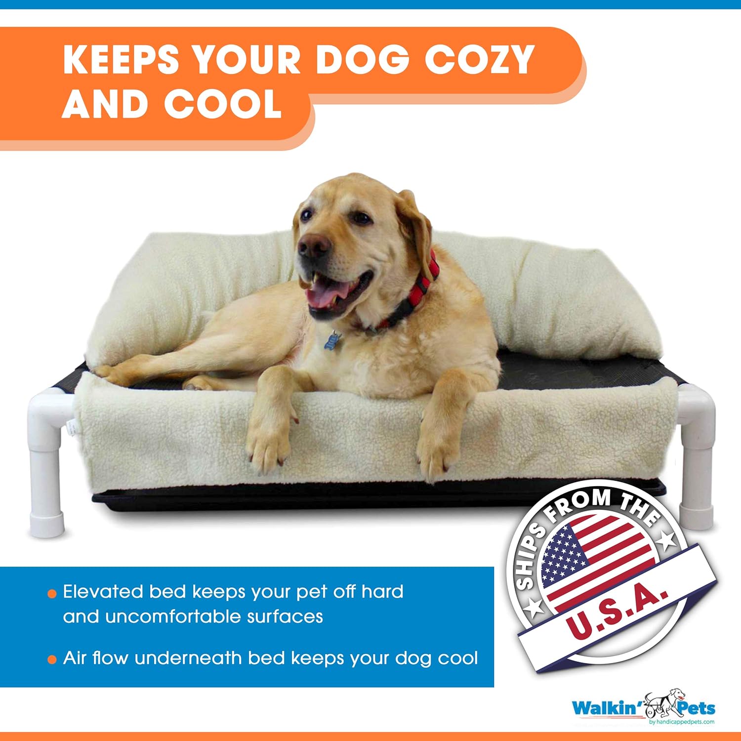 best bed for incontinent dog