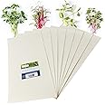 Handy Pantry Micro-Mats Hydroponic Grow Pads - for Organic Production - 50 Pack - Plant & Seed Germination: Wheatgrass, Microgreens, More - for 20" x 10" Greenhouse Trays