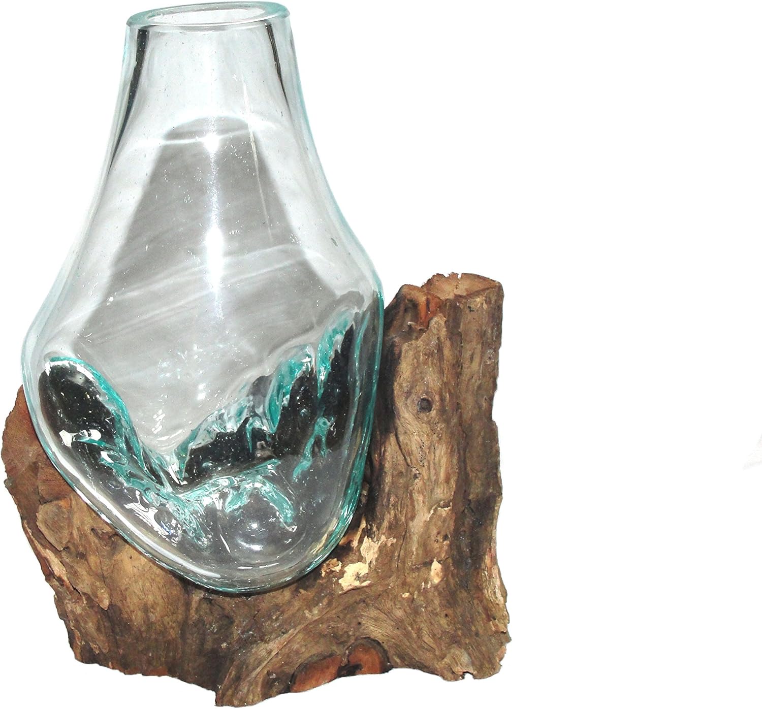 Glass Vase 25 cm Individually on Driftwood/Root Wood Amazon.co.uk