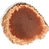 Woodcraft Australian Red Mallee Burl Slice 2Kg-4Kg 1-Piece