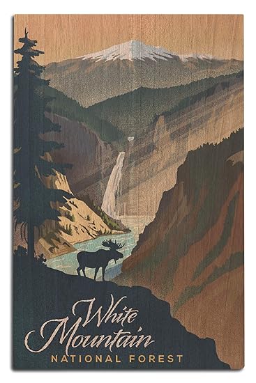 Amazon Com Lantern Press White Mountain National Forest New