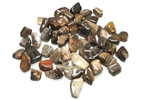 Zentron Crystal Collection Tumbled Petrified Wood - Large 1" Stones in Velvet Bag (1 Pound)