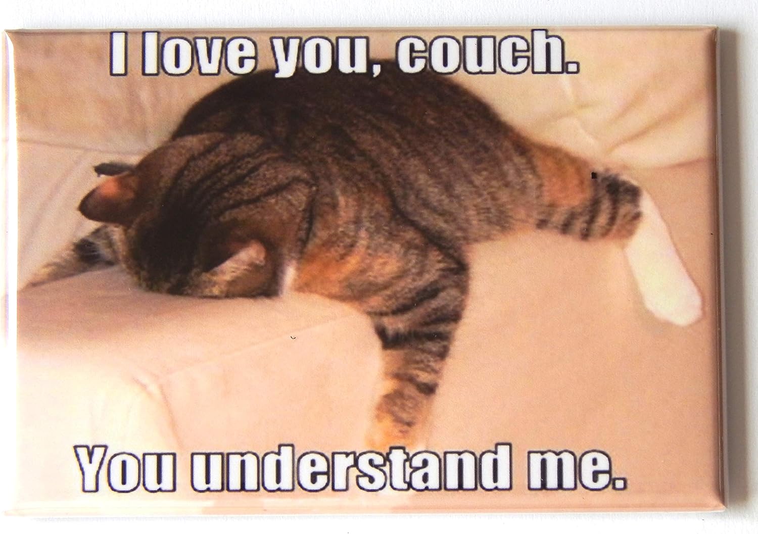 Amazon Com Cat Meme 70 Fridge Magnet 2 X 3 Inches Kitchen