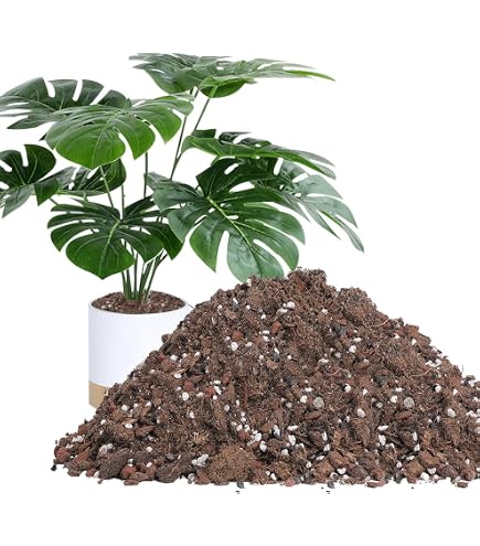 Amazon.com : Gardenera Calathea Plant Potting Soil - All-Natural Blend for  Thriving Calathea Plants - Boosts Root Health and Distinctive Foliage - 10  Quart : Patio, Lawn & Garden