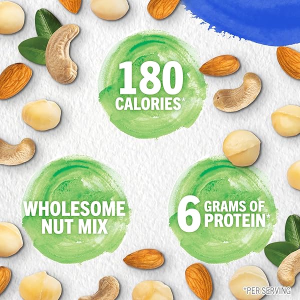 PLANTERS NUT-RITION WHOLESOME NUT MIX, 7.5 OZ BOX (CONTAINS 7 INDIVIDUAL POUCHES) – CASHEWS, ALMONDS AND MACADAMIAS SNACK MIX – NO ARTIFICIAL FLAVORS, NO ARTIFICIAL COLORS, NO PRESERVATIVES – KOSHER
