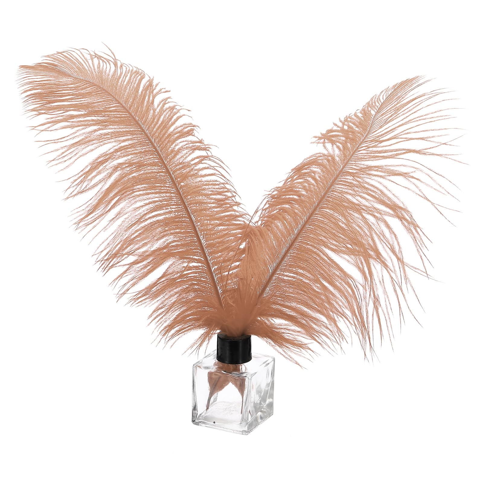 PATIKIL 30 Pcs Natural Ostrich Feathers Bulk 10-12 Inch/ 25-30 cm Large Ostrich Feathers for Crafts Home Decoration Wedding Party Vase Decor (Brown)