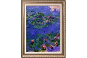 Dimensean Stamped Cross Stitch Kits Full Range of Embroidery Patterns Starter Kits for Beginners Adult or Kids DIY Cross Stitches Needlepoint Kits 11CT- Monet Water Lily 15.7x21.3 inch