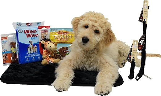 puppy essentials box
