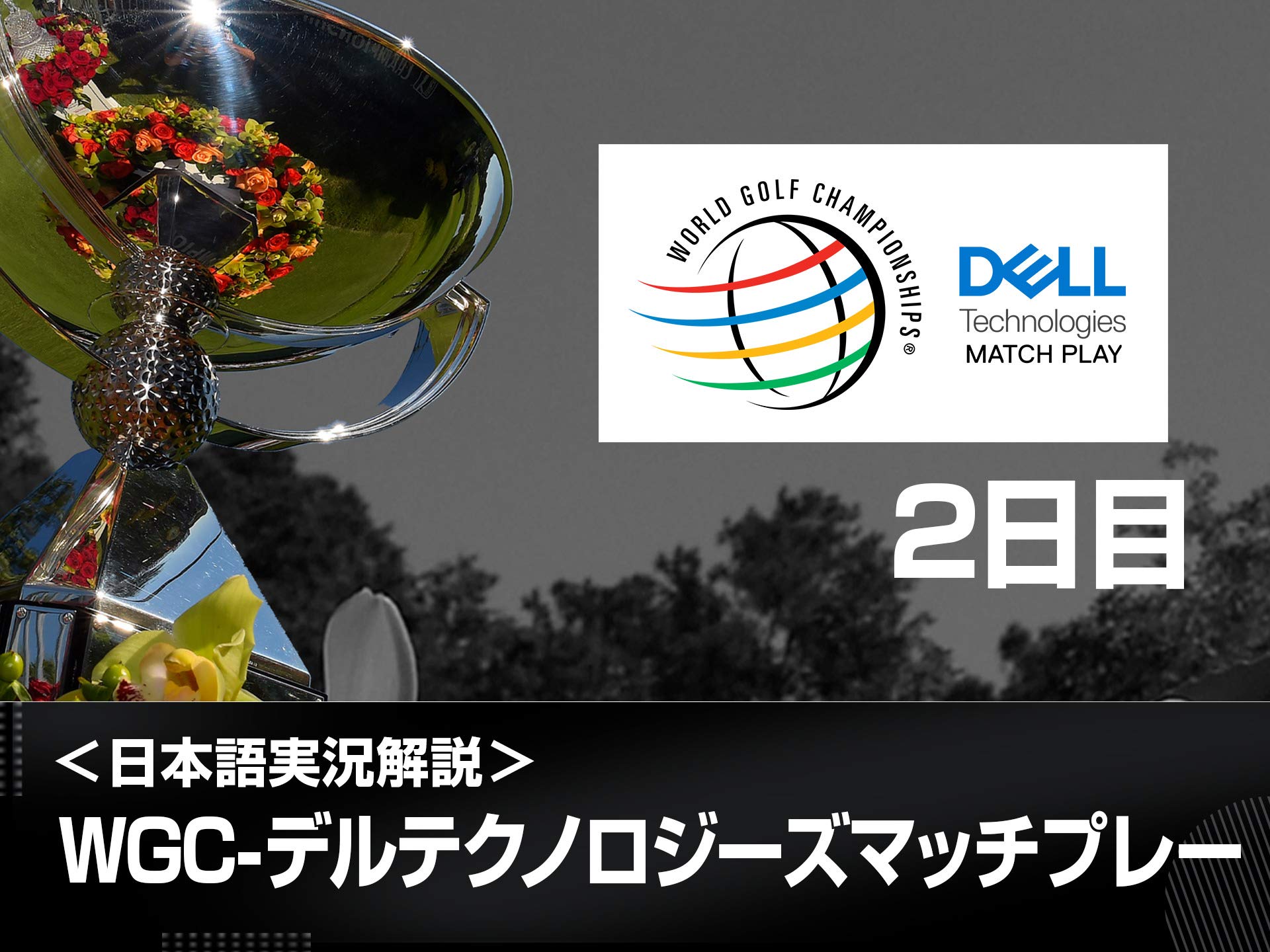 Amazon Co Jp Wgc デルテクノロジーズ マッチプレイを観る Prime Video