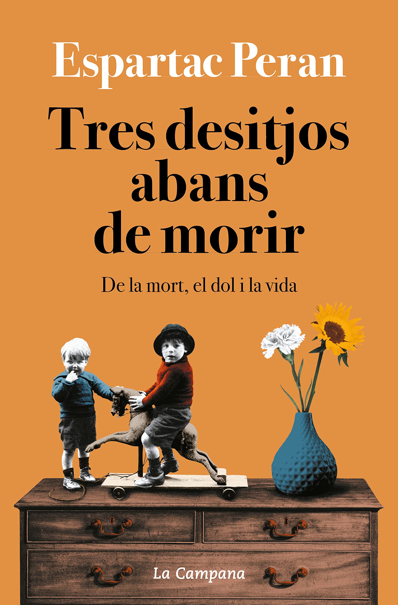 Tres desitjos abans de morir: De la mort, el dol i la vida (Divulgaci&oacute;)