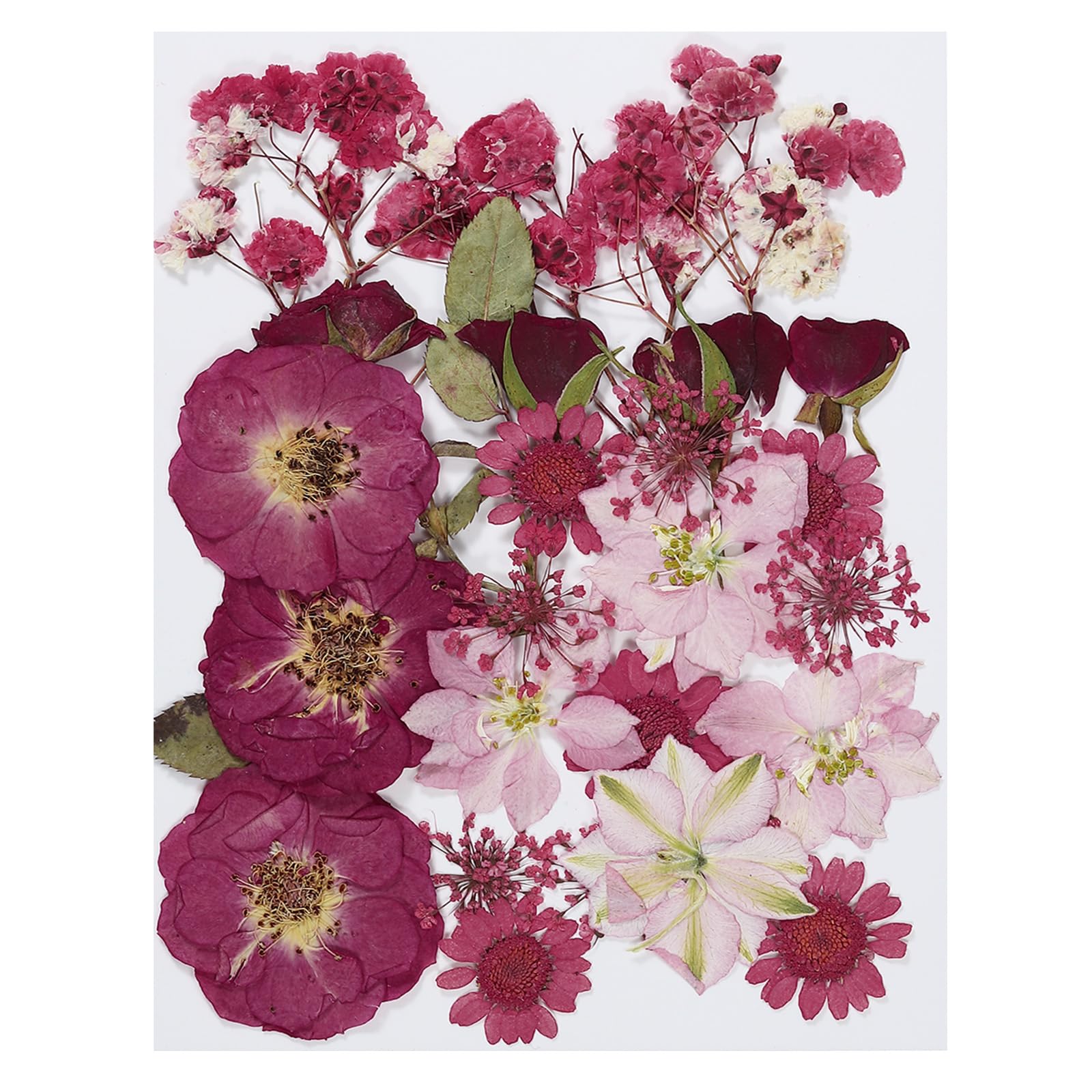 PATIKIL Dried Pressed Flowers, Assorted Real Pressed Flowers for DIY Art Crafts, Red Series
