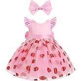 IBTOM CASTLE Baby Flower Girl Dress Satin Floral Embroidered Tulle Tutu Dress Infant Pageant Birthday Formal Party Dress