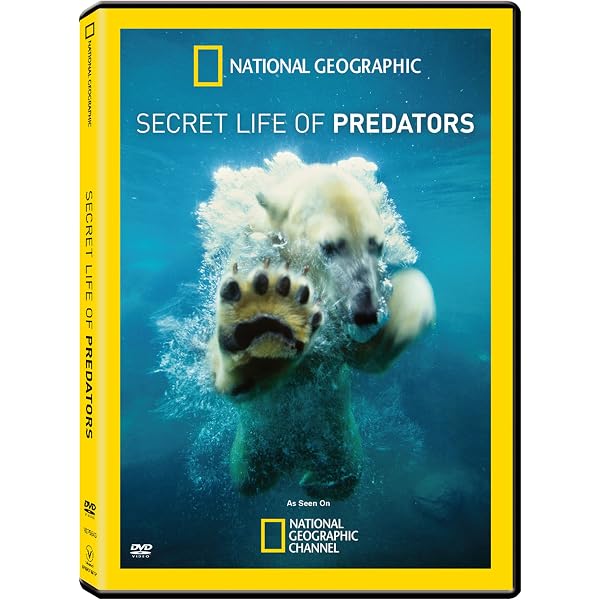 Amazon.com: Nature: Crash - A Tale of Two Species : Allison Argo