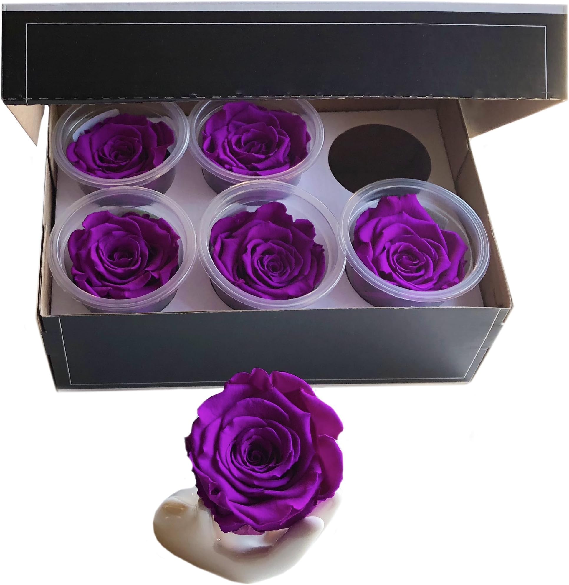 KIKA DECO Preserved Roses Head Pack (6 Pack, Purple)
