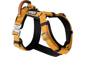 MADE TO ROAM Premium Explorer Harness - Y-Shaped Dog Harness with Adjustable Durable Nylon, Soft Padding, Metal Buckles and L