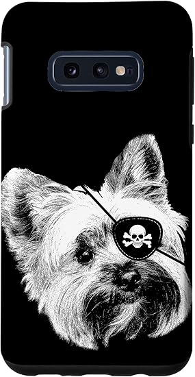 yorkie skull