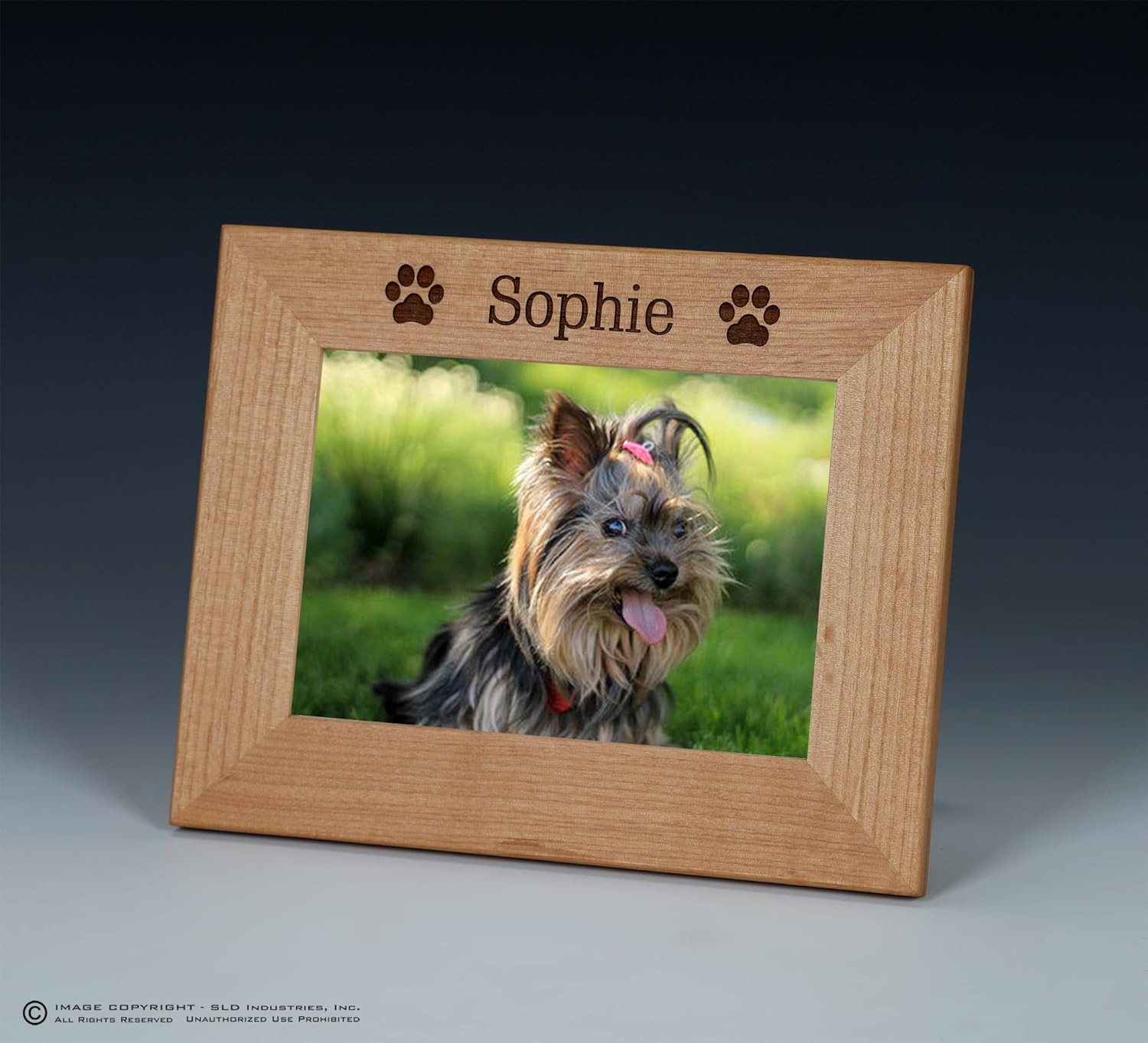 SLD Awards Line Dog Name Picture Frame, Pet Picture Frame