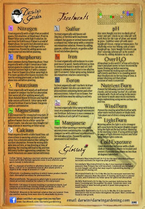 Showtime Full Necrosis Online Free