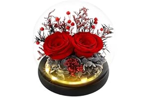 DHOEM Preserved Birthday Flowers for Delivery Prime Women,Light Up Forever Roses in Glass Dome for Mom,Christmas Eternal Rose Valentines Gifts for Her Grandma Friend(Red Rose)