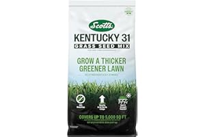 Scotts Kentucky 31 Grass Seed Mix for New Lawns or Overseeding, Grows Thicker and Greener vs. Other Kentucky 31 Mixes, Covers up to 5,000 sq. ft.