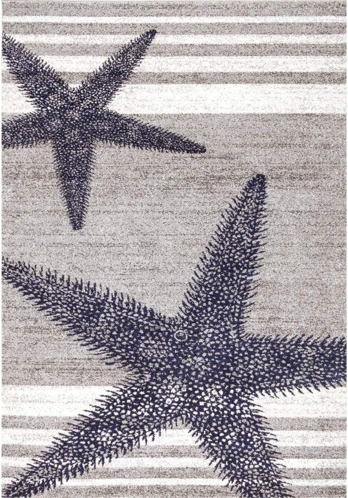 Amazon.com: Starfishes Stripes Design Nautical Coastal Area 