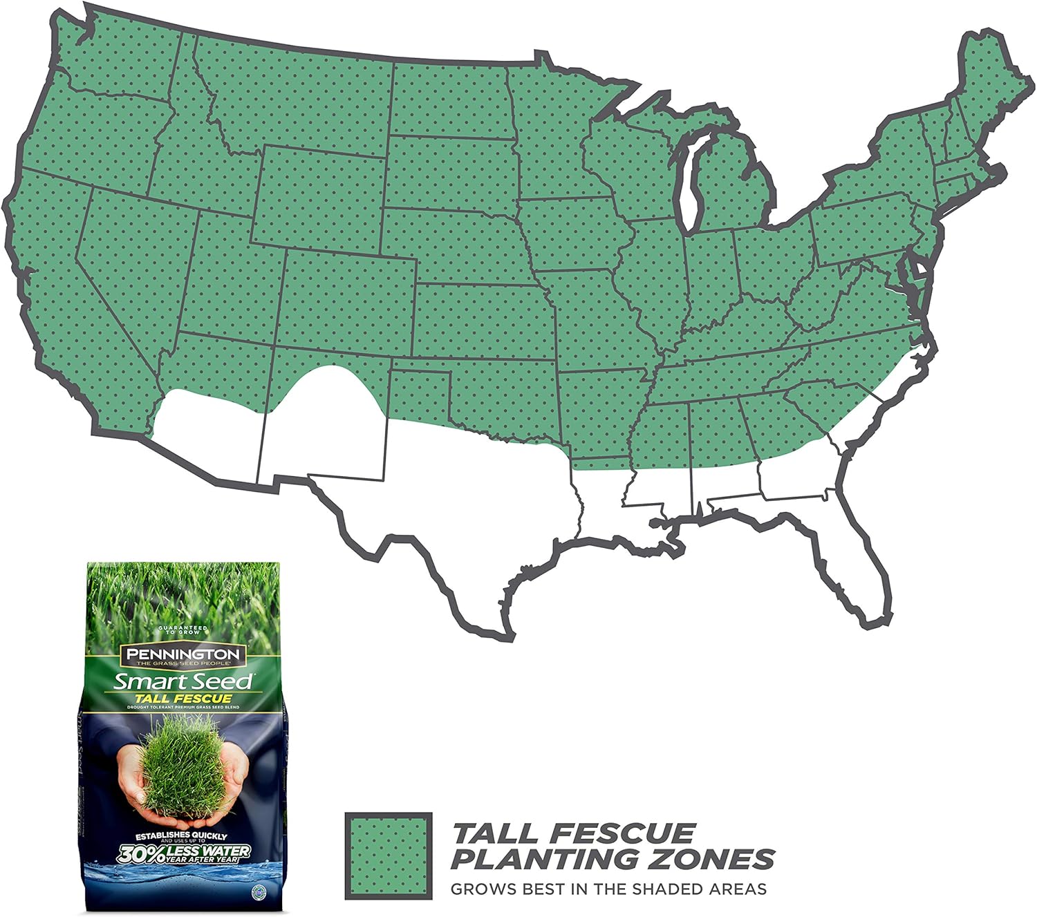 Pennington Smart Seed Tall Fescue Grass Seed, 3 lb : Garden & Outdoor