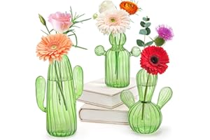 Suwimut 3 Pack Cactus Plant Propagation Station, Mini Terrarium Glass Vases for Indoor Plants, Small Hydroponic Pots for Flow