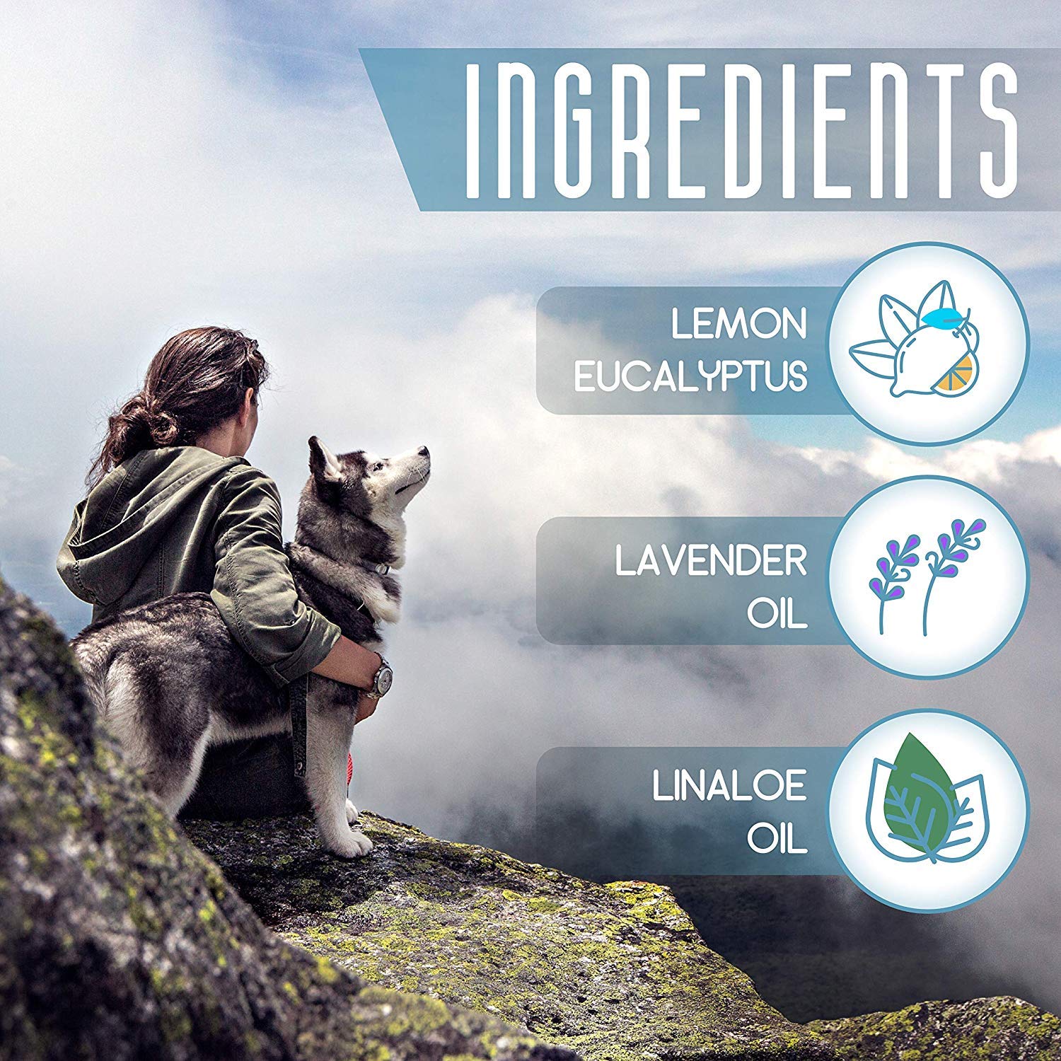 Dog Flea and Tick Control Collar Treatment and Prevention for Dogs