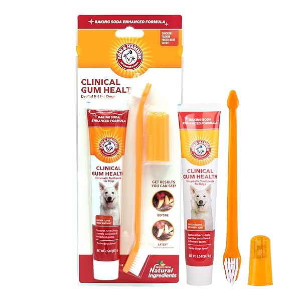 ARM & HAMMER FOR PETS CLINICAL CARE DENTAL GUM HEALTH KIT FOR DOGS | CONTAINS TOOTHPASTE, TOOTHBRUSH & FINGERBRUSH | SOOTHES INFLAMED GUMS, 3-PIECE KIT, CHICKEN FLAVOR