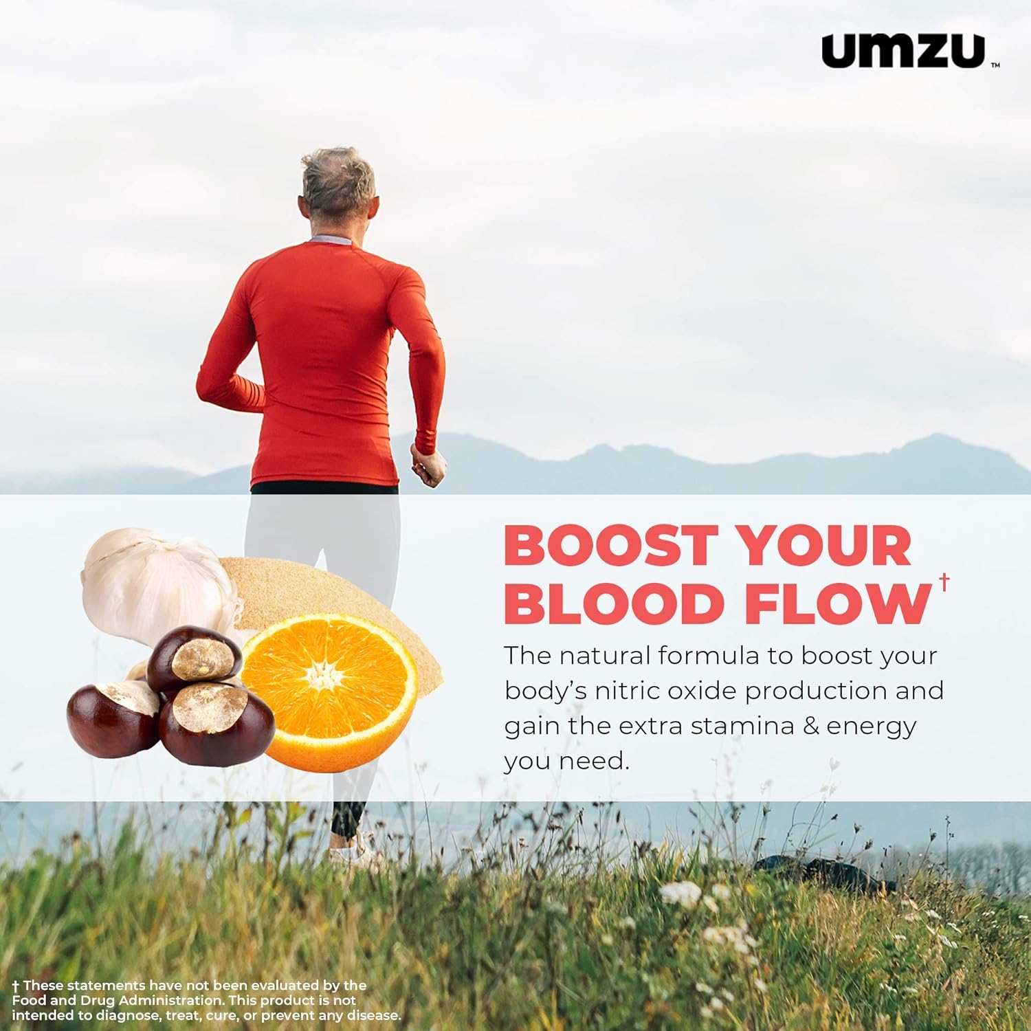 UMZU: Redwood, Nitric Oxide Booster Capsules - 30 Day Supply - N.O. Supplement for Circulatory Support: Health & Personal Care