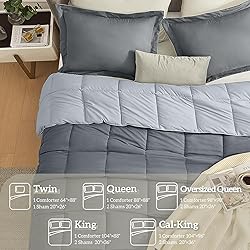 Homelike Moment Queen Comforter Set