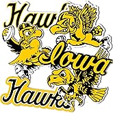Desert Cactus University of Iowa Sticker Hawkeyes Vinyl Decals Laptop Water Bottle Car Scrapbook Sheet T2 (Type 2 Vintage)