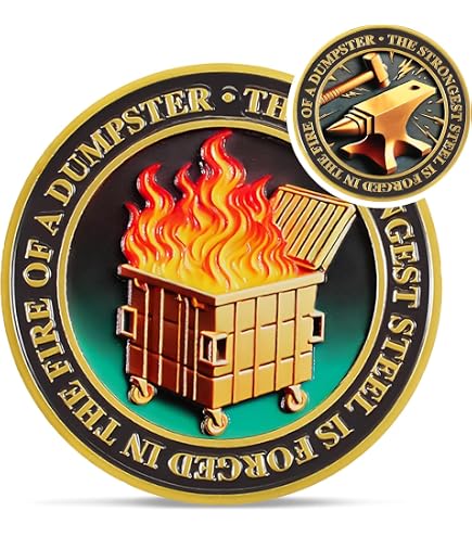 Médaille Humoristique Dumpster Fire - Pièce De Collection Bureau Avec Chien 'This Is Fine' - Cadeau Déco Motivant