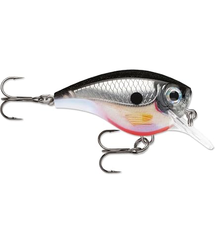 Rapala Balsa Xtreme Big Brat 06 Carbon Fishing Lure – Premium Balsa Crankbait For Freshwater