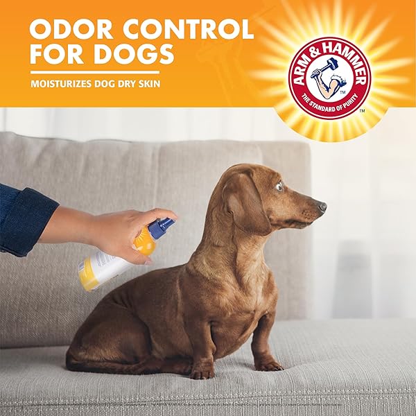 ARM & HAMMER FOR PETS SUPER DEODORIZING DOG SPRAY WITH BAKING SODA FOR ODOR CONTROL, FRESHENS COAT BETWEEN BATHS, PH BALANCED FORMULA FOR DOGS, 8 FL OZ
